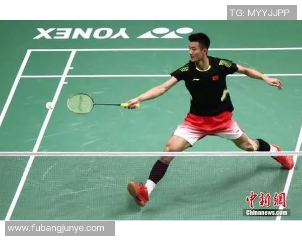 南京羽毛球队在全国锦标赛中的个人能力分析与表现评估 南京羽毛球队在全国锦标赛中的个人能力分析与表现评估