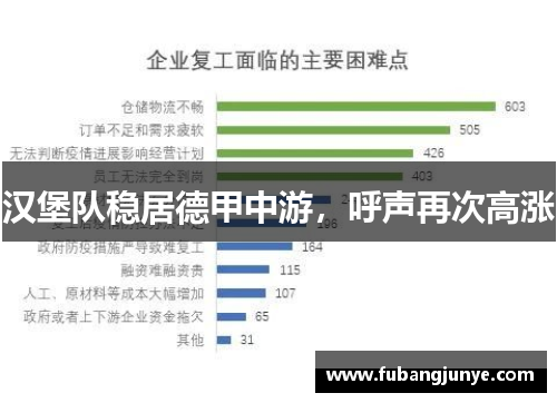 汉堡队稳居德甲中游，呼声再次高涨