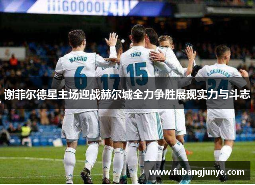 谢菲尔德星主场迎战赫尔城全力争胜展现实力与斗志